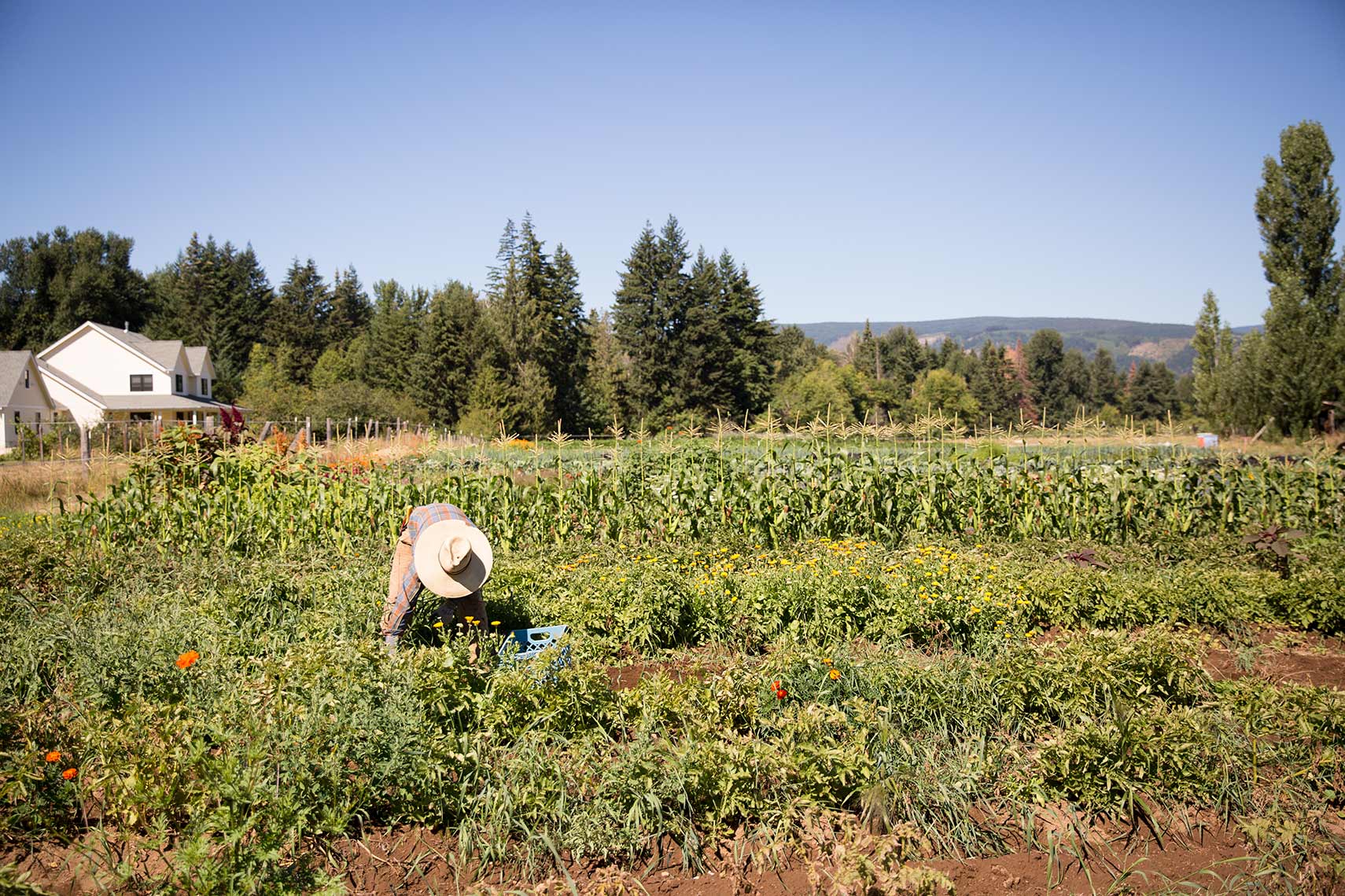columbia_gorge_2016_COH_10108