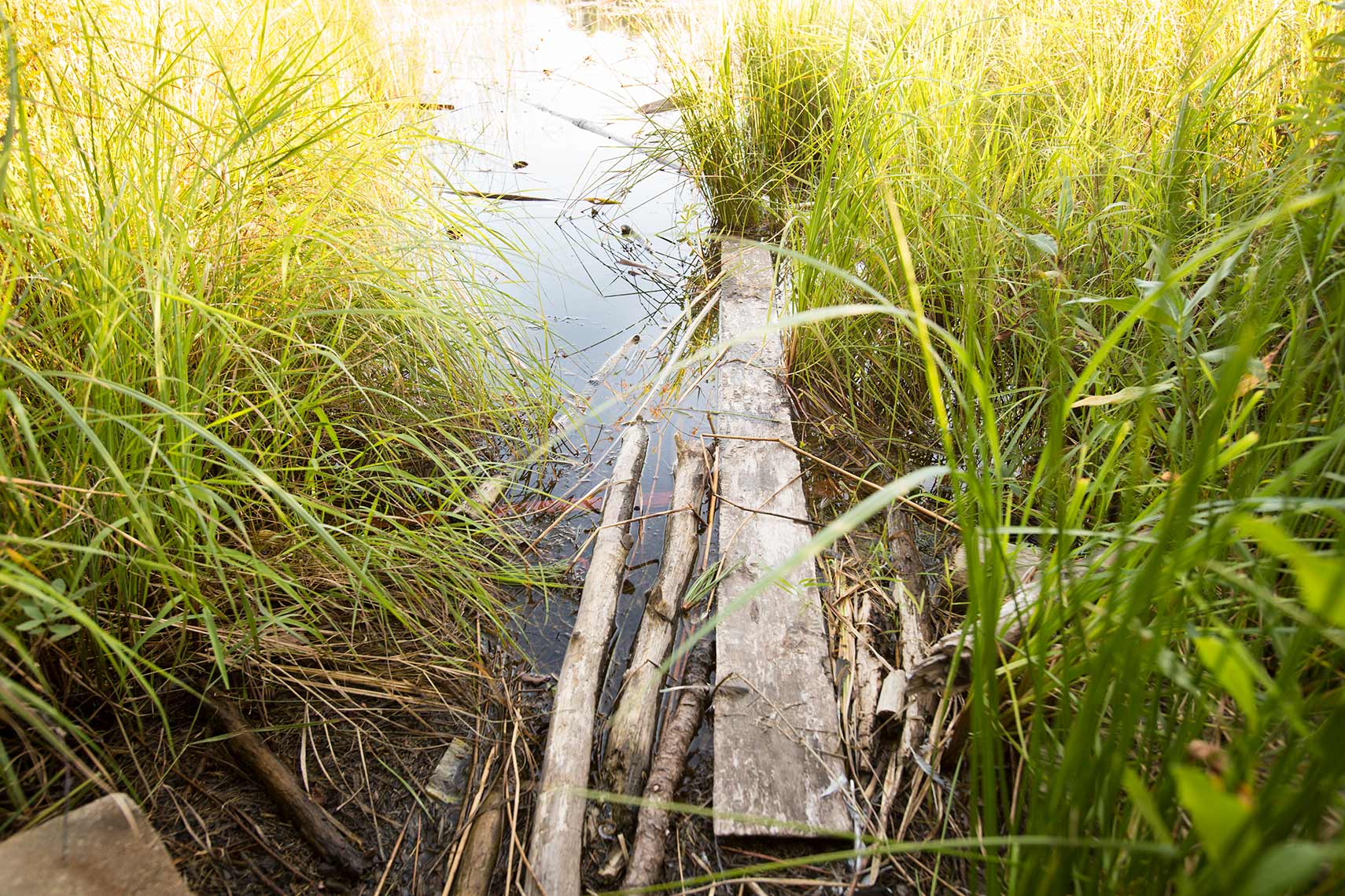ldf_sept_2015_0214_2